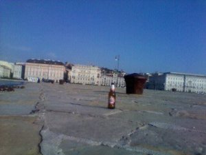 Salvato un Marangone al Molo Audace. Perché questo degrado a Trieste?