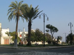 Da Marittima: voci, volti, figure, sensazioni ed emozioni