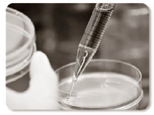 Intervista al Dr. Hu sulle cellule staminali