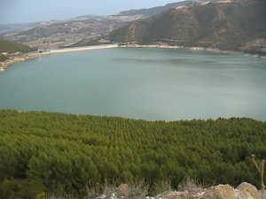 Alga tossica nei rubinetti di Foggia