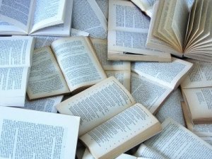 2014, i libri in arrivo. I big