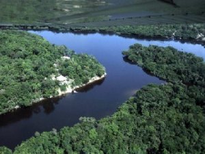 Amazzonia, continua la deforestazione