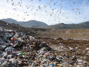 Gli affari d'oro dell'ecomafia