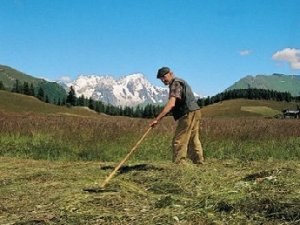 Campagna Popolare