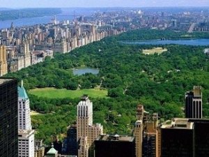 Energia solare: New York chiede sempre più sole