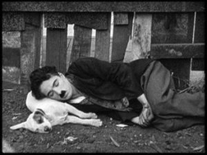 Che vita da cani...