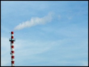 Rassegna stampa sull'inceneritore