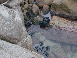 cala_grande_valle_della_luna01