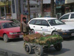 Economia afghana, la fame e i gioielli