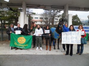 Incatenati all'Ippodromo di Agnano: cittadini e cavalli uniti contro la chiusura