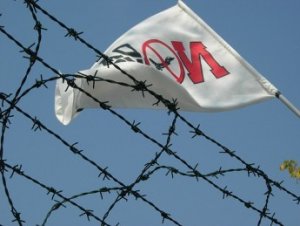 "Signora, vada a fare la cittadina da un'altra parte"