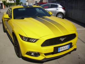 Mustang. Cavallo Pazzo, Leggenda Automobilistica
