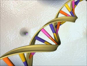 Dove archiviare i dati digitali? Nel Dna!