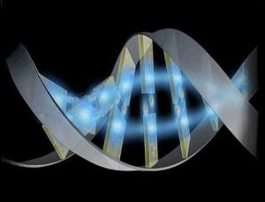Prendete gli occhiali e preparatevi al genoma in 3D