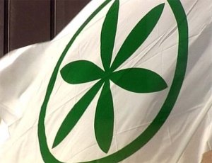 Il razzismo leghista, per cui il cancro del sud mafioso si estende e uccide la Padania
