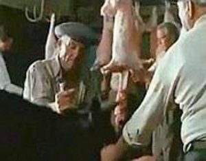 Denuncia penale della protezione animali contro Baarìa per la scena del bovino sgozzato!