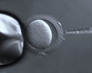 Procreazione medicalmente assistita e gravidanza | Speciale LEA