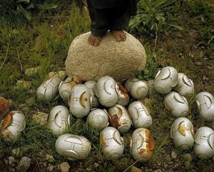 Furto con destrezza: le notizie sparite (cluster bombs)
