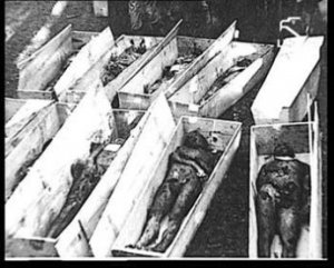 10 Febbraio - Il giorno del Ricordo