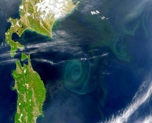 Ferro per ridurre l'effetto serra: utile o pericoloso?