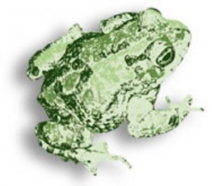Festival della Biodiversità a Milano