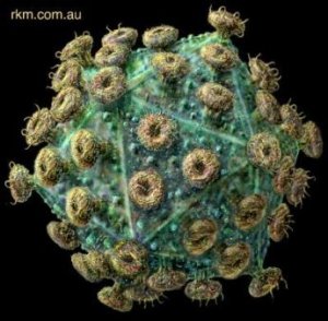 Scienziati fotografano l'HIV migrando tra le cellule