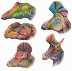 Denti high-tech per il dinosauro erbivoro