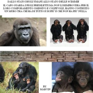 Dallo Stato degli Umani allo Stato degli Scimpanze