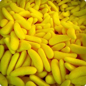 La decadenza della Repubblica delle banane