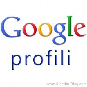 Google: tutti i Profili Privati eliminati dopo il 31 Luglio 2011