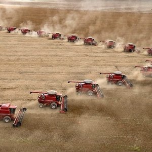 Meno aziende agricole ma più grandi