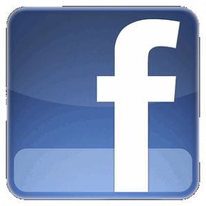 Facebook Memology, gli argomenti più condivisi nel 2011