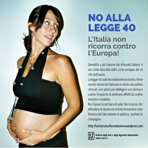 Ricorso su fecondazione, mancano pochi giorni al termine e il governo tace