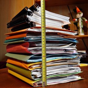 Gli assistenti sociali sono ladri di bambini?