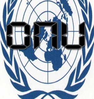 ONU: paravento del razzismo