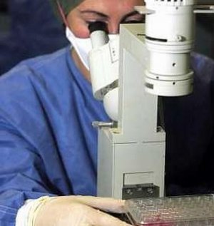 L'autoreplicazione maligna. La storia della ricerca sul cancro