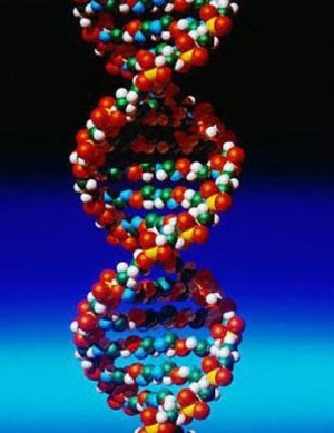 Bio etica, il nuovo confine della morale
