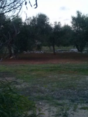 Nell'autunno salentino, lenzuola sopra la terra rossa