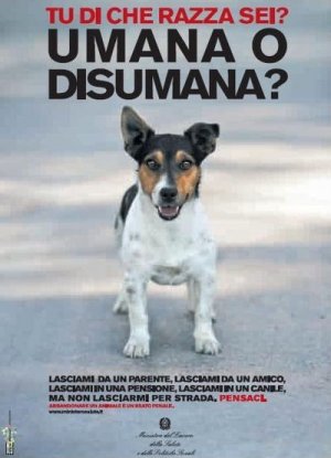 L'orribile strage di animali che insanguina le vacanze estive