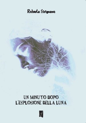 “Un minuto dopo l'esplosione della Luna” di Roberta Sirignano