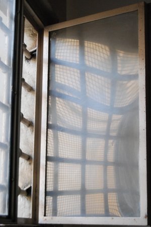 Le foto dei detenuti di Poggioreale per la mostra "Intra/vedere"