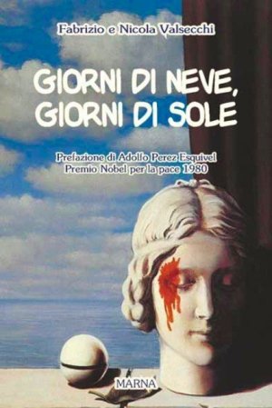 Giorni di neve, giorni di sole: il romanzo
