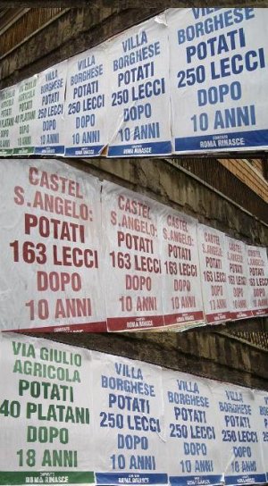 Alemanno inonda Roma di manifesti per dire che ha potato gli alberi