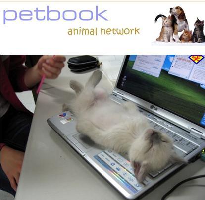 Dopo Facebook arriva Petbook: il social network per animali