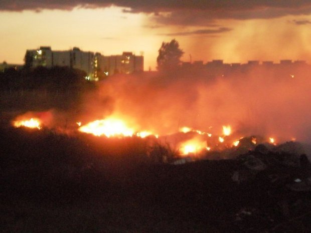 Rogo a Scampia Rogo a Scampia