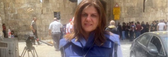 Shireen, uccisa perché palestinese