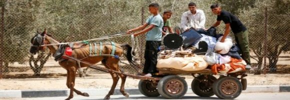 Notizie dal Medio Oriente e dal Nord Africa
