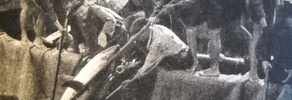 Migranti? Come tonni in una tonnara