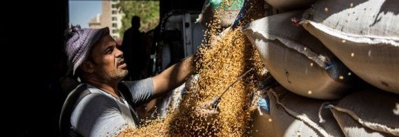Egitto, fame di grano e mobilità avveniristica