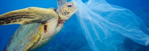 Foto: Mediterraneo, mare di plastica